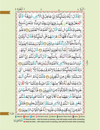 Colour coded Tajweed Quran indo Pak script